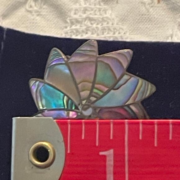 Abalone and Alpaca silver screwback vintage earrings - Picture 3 of 12